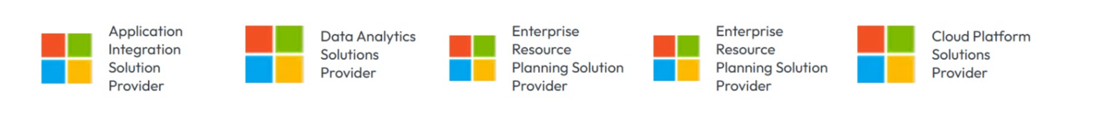 Microsoft Partner Badges